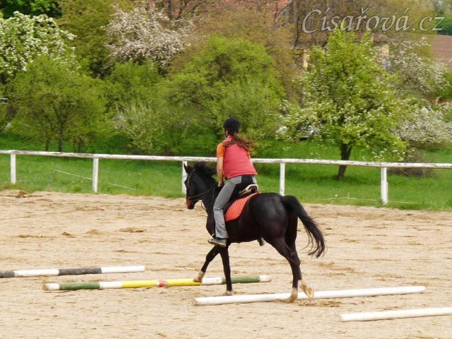 Květen 2010, trénink na kolbišti ve Všeticích, cvalové kavalety