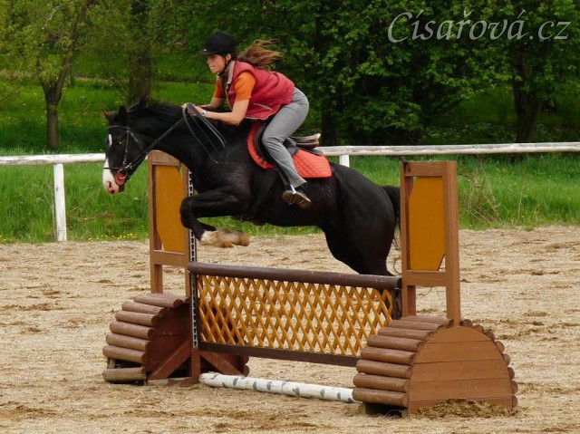Květen 2010, trénink na kolbišti ve Všeticích, spočátku Grant chodil hodně blízko ke skokům