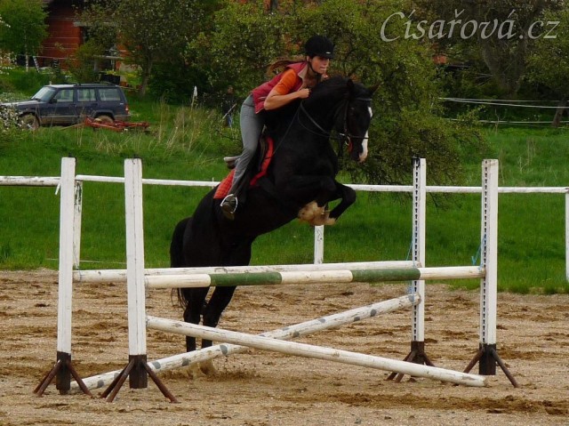 Květen 2010, trénink na kolbišti ve Všeticích, spočátku Grant chodil hodně blízko ke skokům