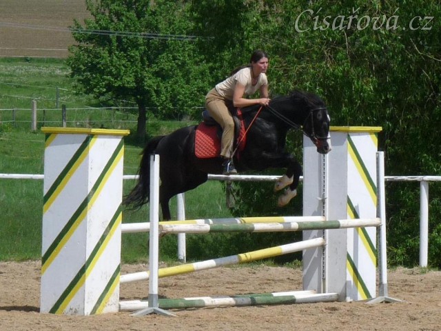 Červen 2010, trénink na kolbišti ve Všeticích