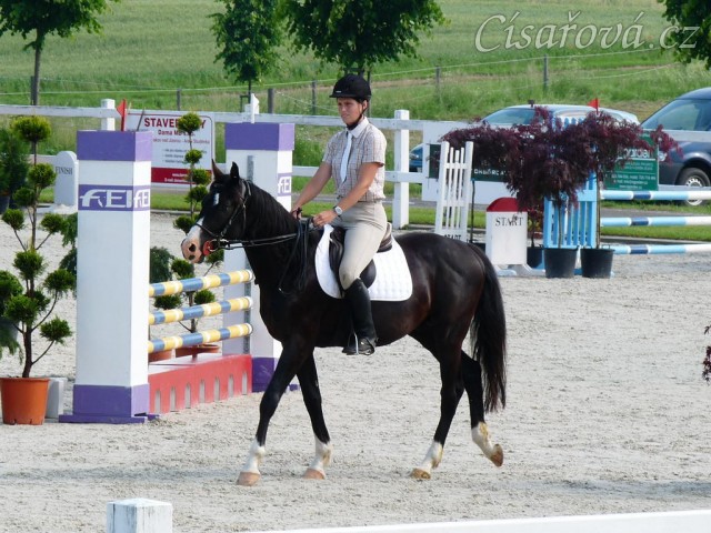 Červen 2010, ČŠMK na Ptýrově, v kolbišti