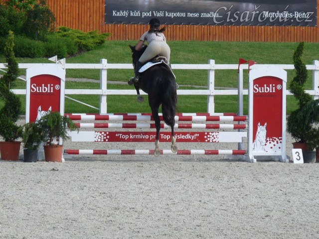 Červen 2010, ČŠMK na Ptýrově, zahajovací parkur