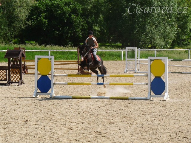 Červen 2010, trénink na kolbišti ve Všeticích, trénujeme skoky 110cm