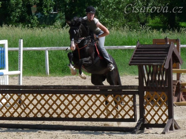 Červen 2010, trénink na kolbišti ve Všeticích, trénujeme skoky 110cm