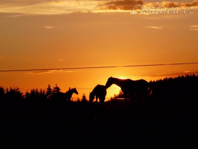 Červenec 2010, Gimli, Galen a Chuezca při západu slunce