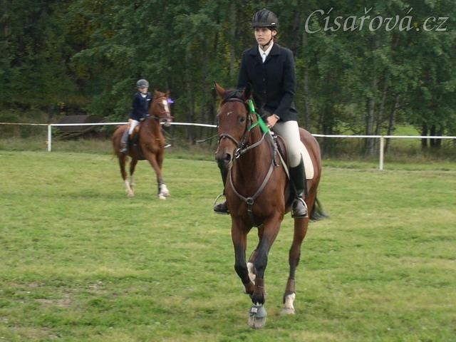 Dekorování parkuru ZL