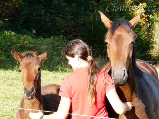 Srpen 2010, Ascara a Chuezca, drbání je labuž:-)