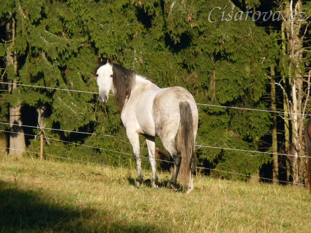 Září 2010, Divík kouká, čeho by se lekl:-)
