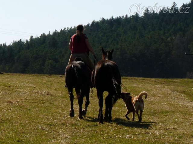 Jaro 2010, Carthago jde na laně za Grantem na vyjížďku