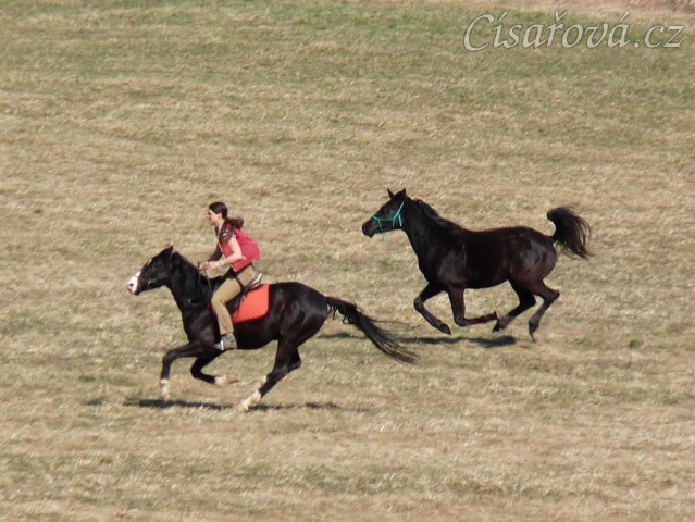 Jaro 2010, Carthago závodí s Grantem na vyjížďce