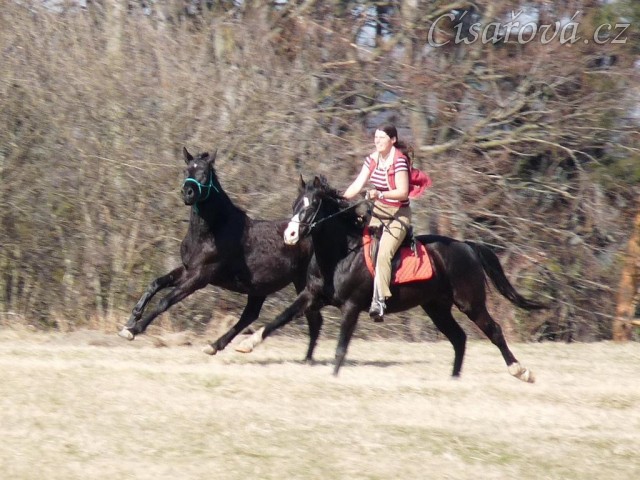 Jaro 2010, Carthago závodí s Grantem na vyjížďce