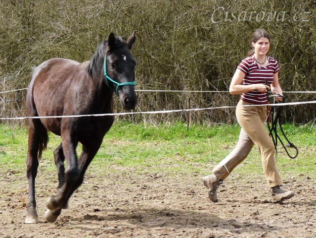 Jaro 2010, vypouštění do skokové řady