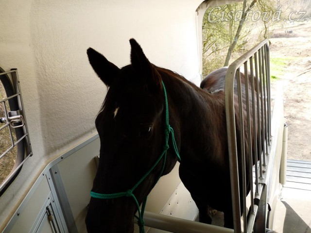 Květen 2010, Carthago vevnitř přívěsu