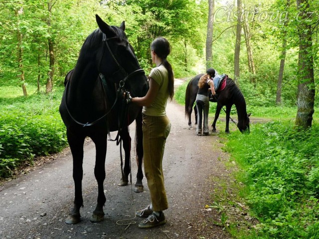 Květen 2010, první vyjížďka ve společnosti Arwen
