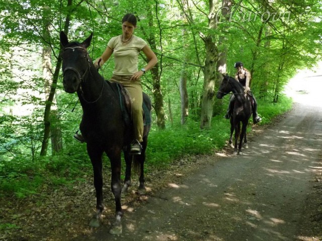 Květen 2010, první vyjížďka ve společnosti Arwen