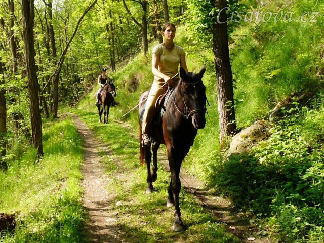 Květen 2010, první vyjížďka ve společnosti Arwen