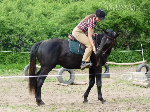Červen 2010, jízdárna, odměna