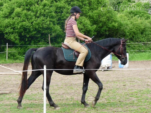 Červen 2010, jízdárna, krok