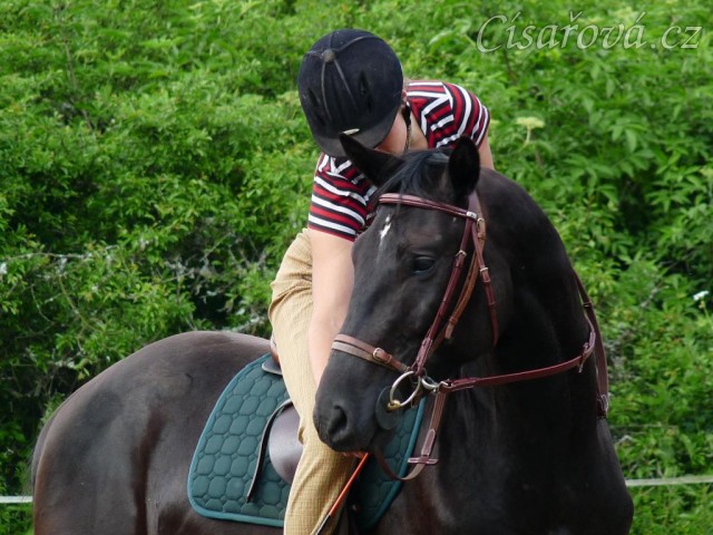 Červen 2010, jízdárna, odměna