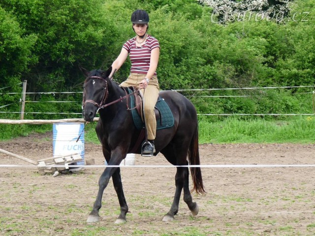 Červen 2010, jízdárna, krok