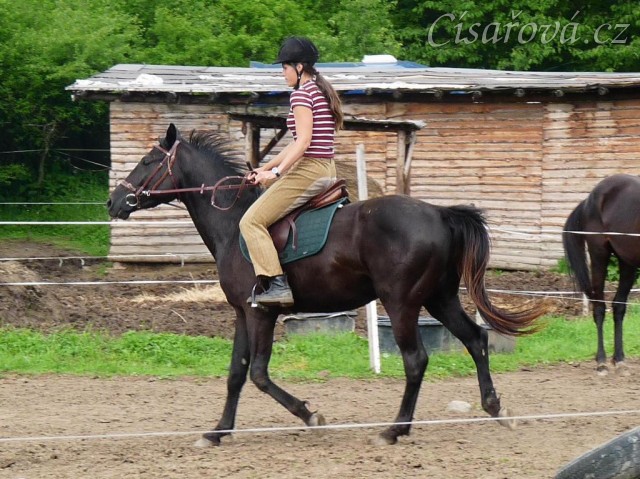 Červen 2010, jízdárna, klus