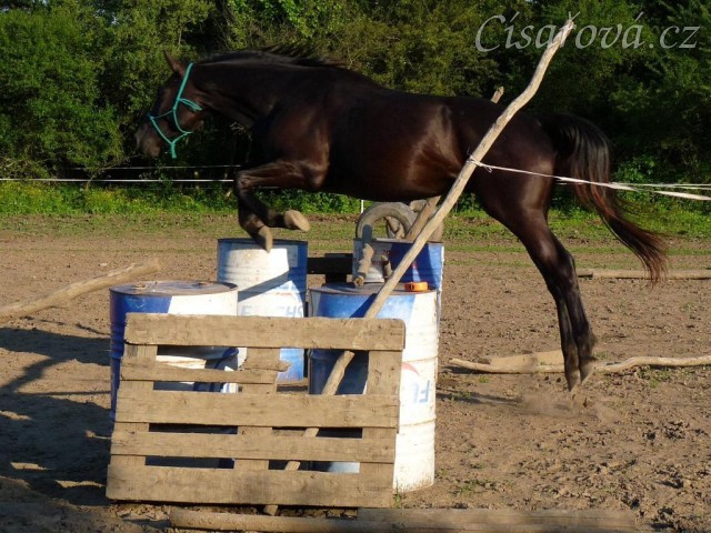 Červen 2010, skákání ve volnosti