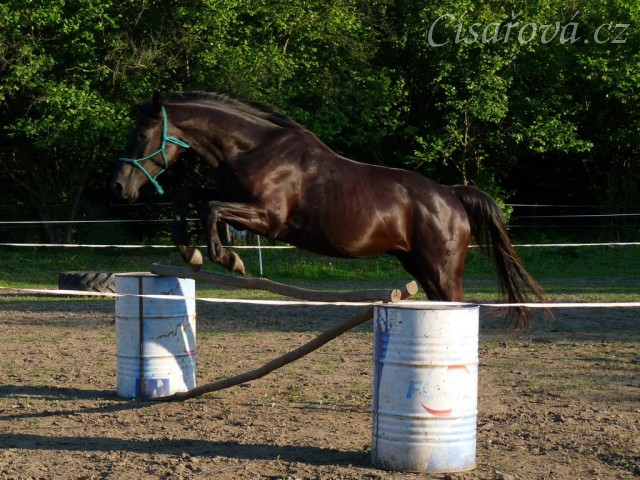 Červen 2010, skákání ve volnosti