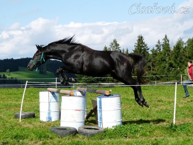 Srpen 2010, skákání těžších skokových řad ve volnosti