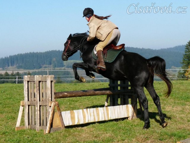 Říjen 2010, skákání parkuru