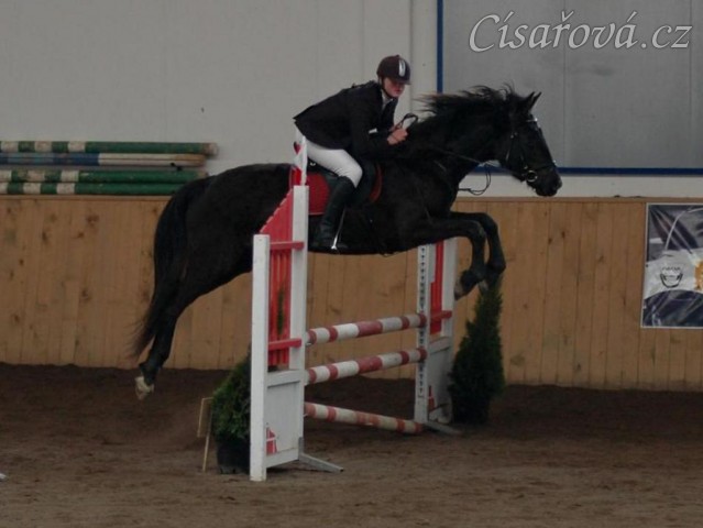 Soutěž ZM, Arwen, foto Olga Procházková