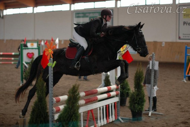 Soutěž ZM, Arwen, foto Olga Procházková