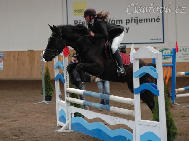 Soutěž Z, Arwen, foto Olga Procházková