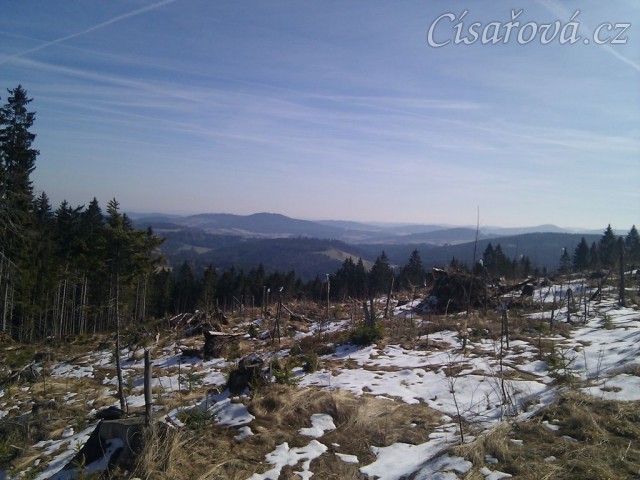 22.3.2011 - Tak už to vypadá, že i u nás začíná definitivně jaro:-)