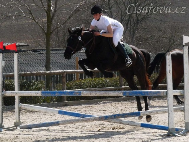 Carthago skáče na opracovišti.