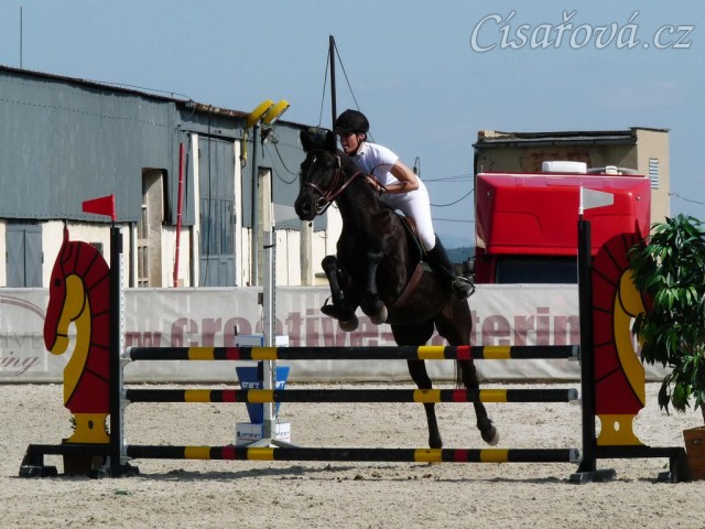 Carthago v soutěži stupňovaná obtížnost do 100 cm