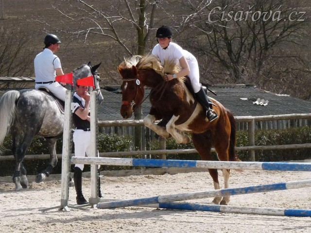 Vikina skáče na opracovišti.