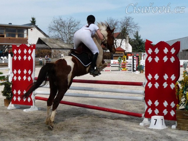 Vikina v soutěži stupňovaná obtížnost do 100 cm