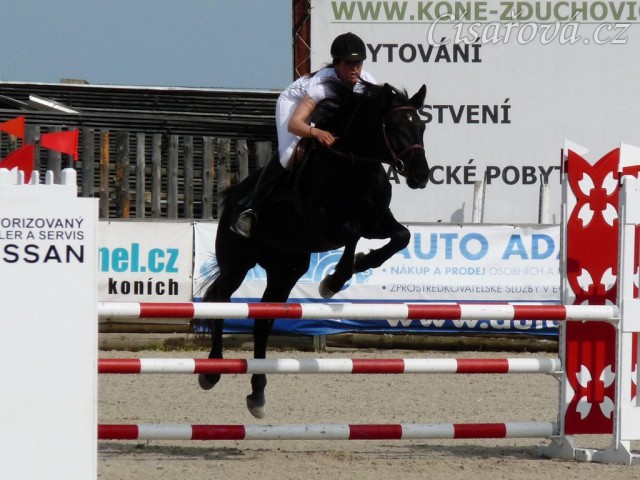 Carthago v soutěži stupně Z