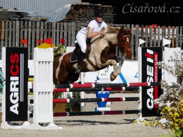 Vikina v soutěži stupně Z