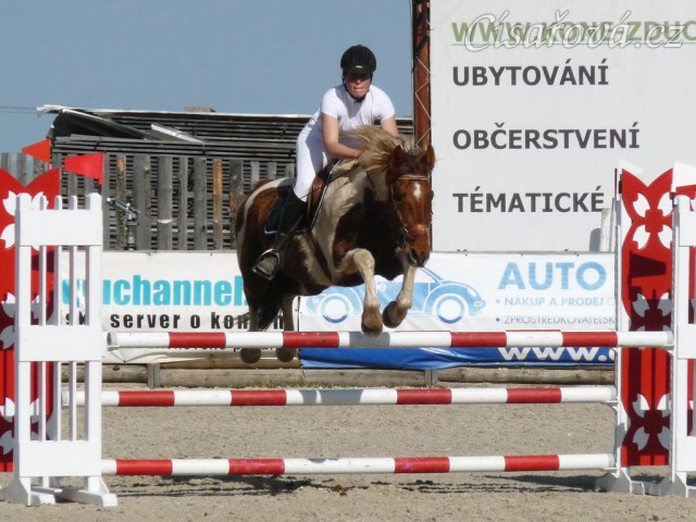 Vikina v soutěži stupně Z