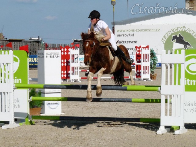 Vikina v soutěži stupně Z