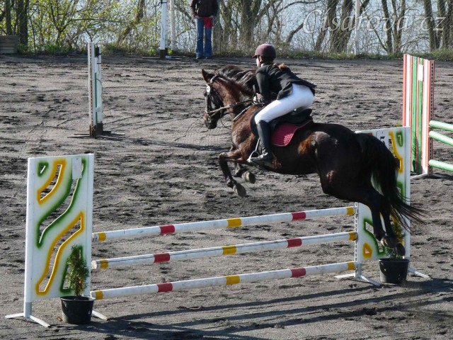 Arwen v soutěži stupně ZM