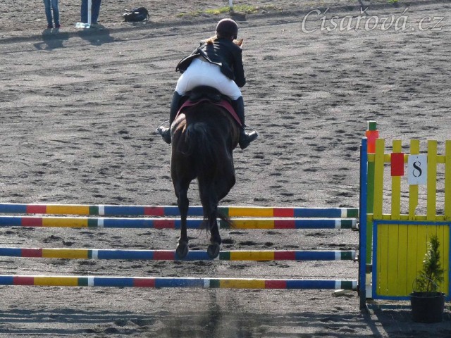 Arwen v soutěži stupně ZM