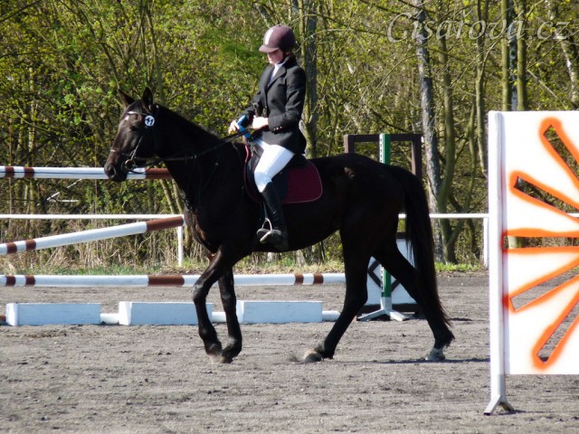 Arwen na dekorování - 4.místo