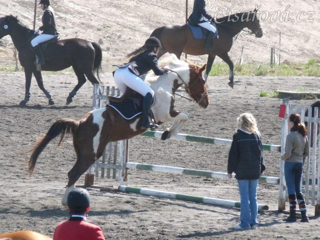 Vikina skáče na opracovišti