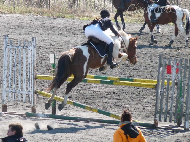 Vikina skáče na opracovišti