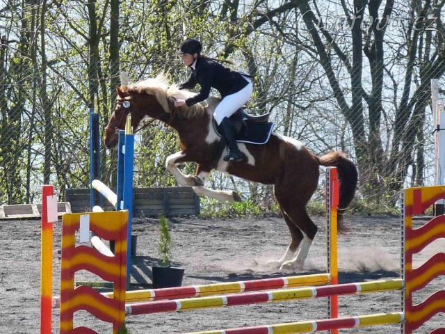 Vikina v soutěži stupně Z