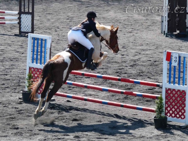 Vikina v soutěži stupně Z