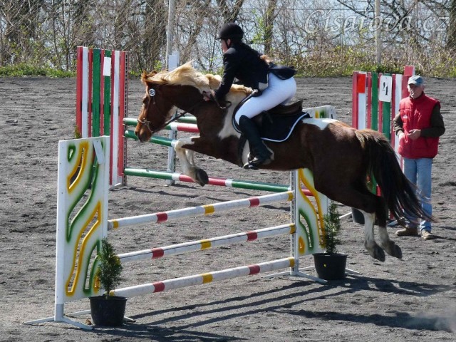 Vikina v soutěži stupně Z