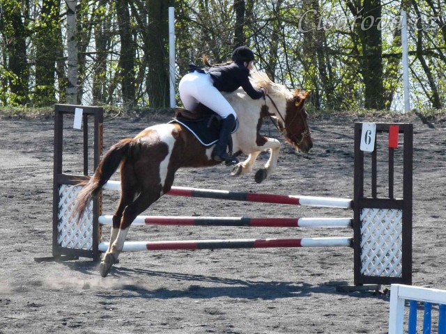 Vikina v soutěži stupně Z